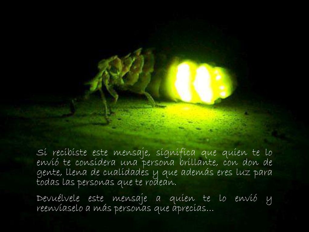 Si recibiste este mensaje, significa que quien te lo envió te considera una persona brillante, con don de gente, llena de cualidades y que además eres luz para todas las personas que te rodean.