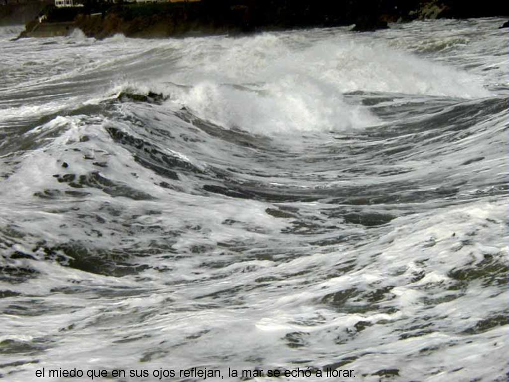 el miedo que en sus ojos reflejan, la mar se echó a llorar.