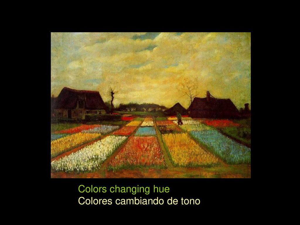 Colors changing hue Colores cambiando de tono