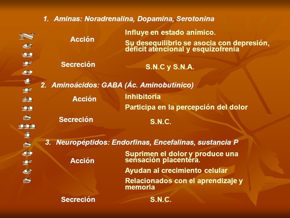 Neurotransmisores Aminas: Noradrenalina, Dopamina, Serotonina