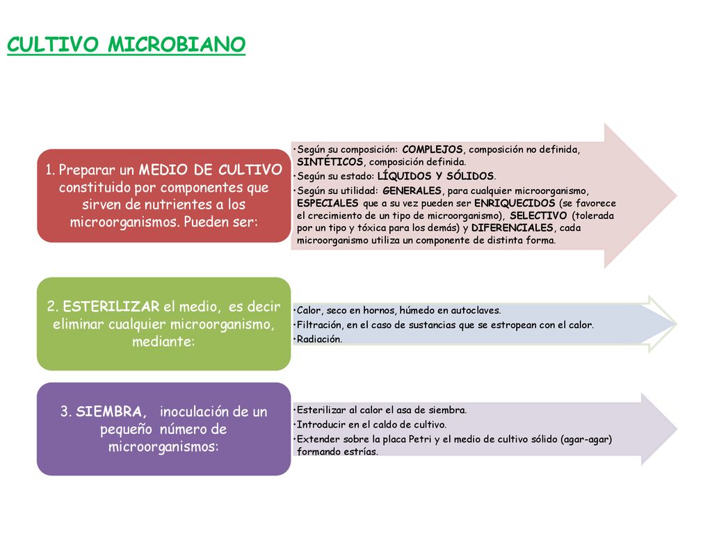 3. SIEMBRA, inoculación de un pequeño número de microorganismos: