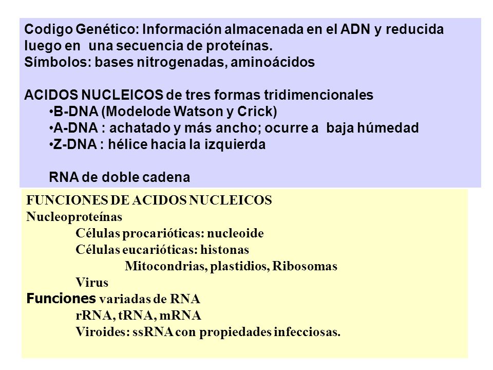 Codigo Genético: Información almacenada en el ADN y reducida luego en una secuencia de proteínas.