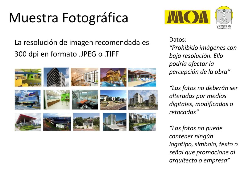 Muestra Fotográfica Datos: Prohibido imágenes con baja resolución. Ello podría afectar la percepción de la obra