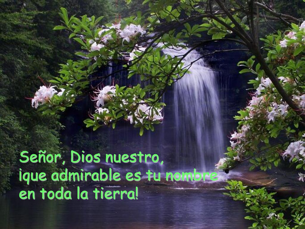 Señor, Dios nuestro, ¡que admirable es tu nombre en toda la tierra!