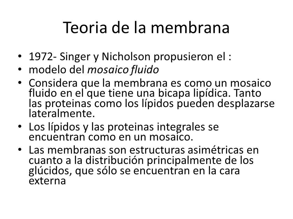 Teoria de la membrana Singer y Nicholson propusieron el :