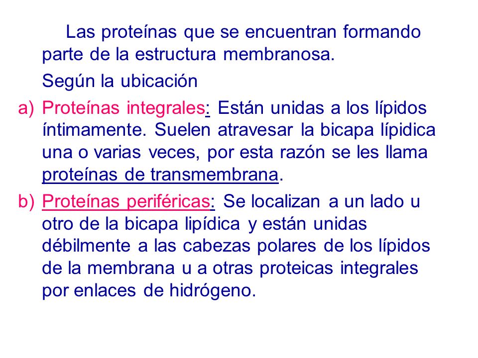 Las proteínas que se encuentran formando parte de la estructura membranosa.