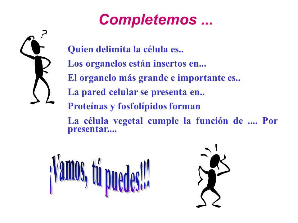 Completemos ... ¡Vamos, tú puedes!!! Quien delimita la célula es..
