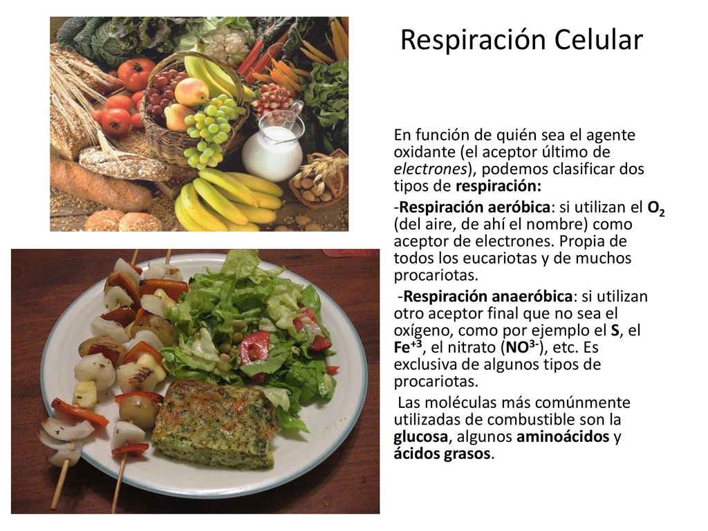 Respiración Celular En función de quién sea el agente oxidante (el aceptor último de electrones), podemos clasificar dos tipos de respiración: