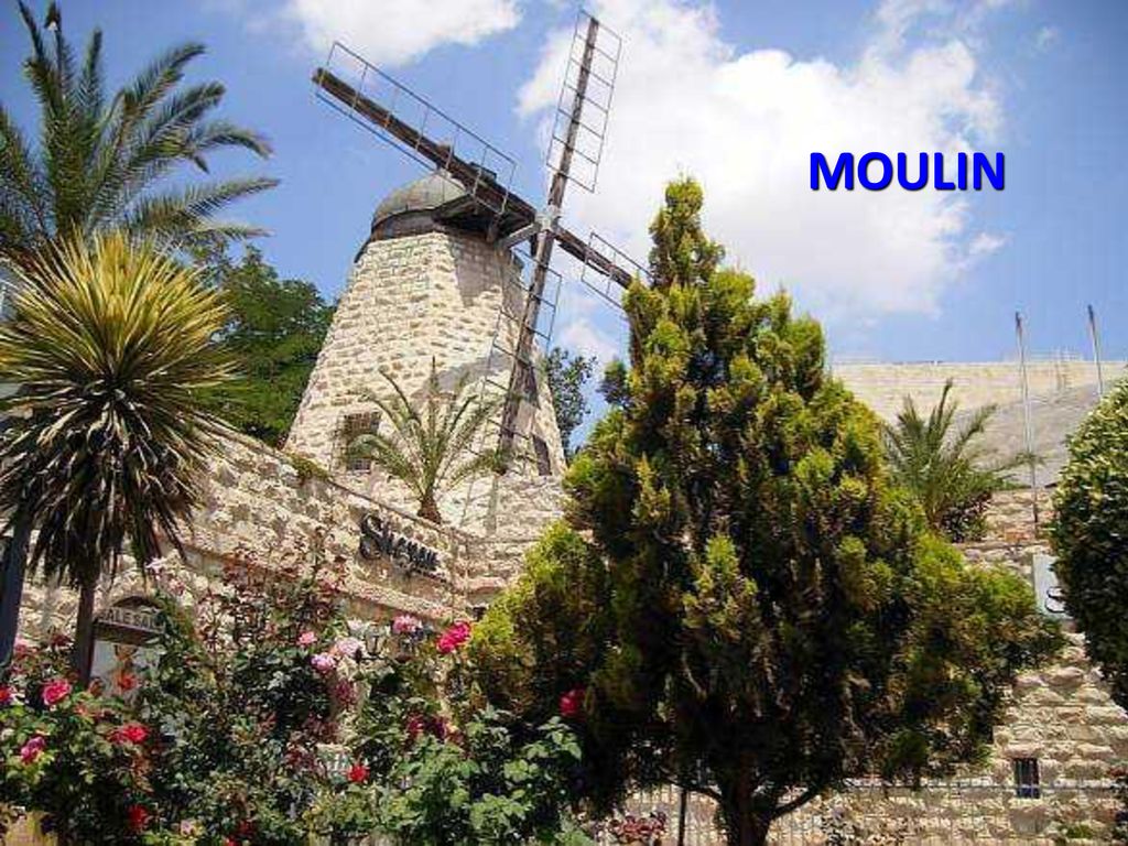 MOULIN lunes, 12 de noviembre de 2018lunes, 12 de noviembre de 2018