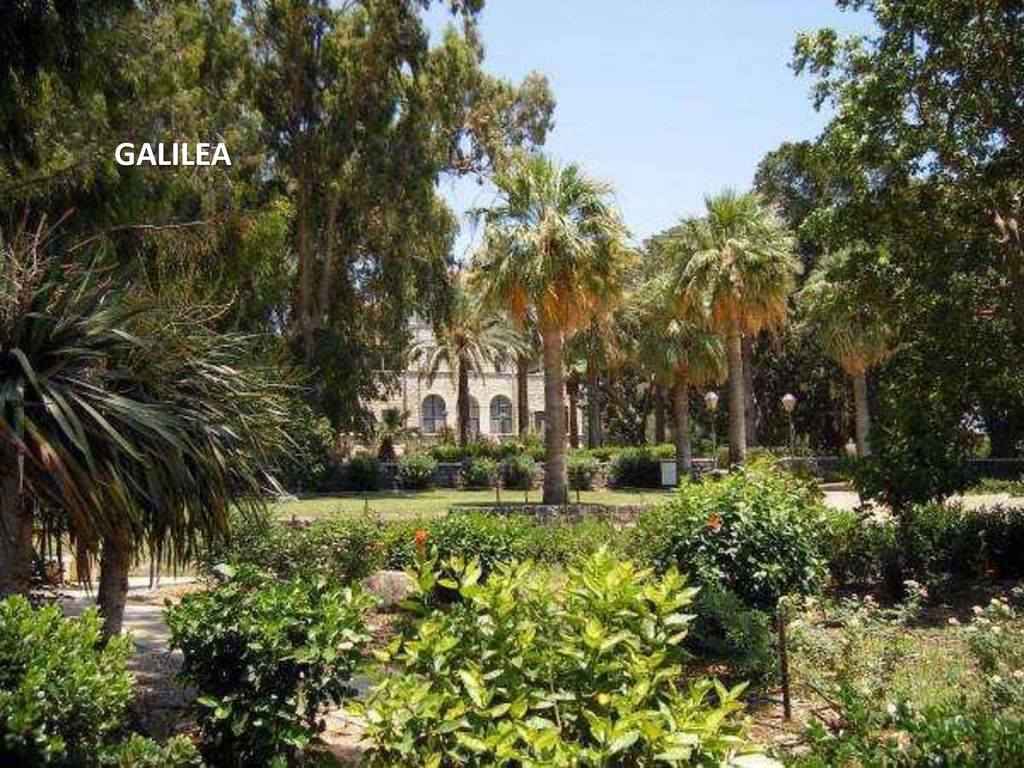 GALILEA lunes, 12 de noviembre de 2018lunes, 12 de noviembre de 2018