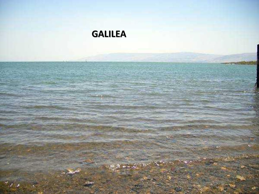 GALILEA lunes, 12 de noviembre de 2018lunes, 12 de noviembre de 2018