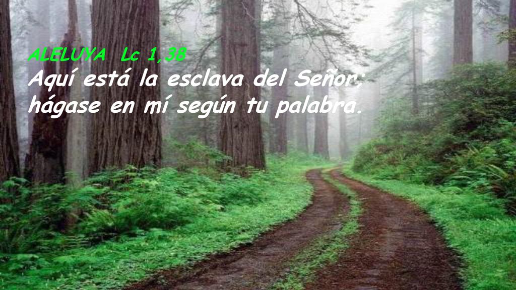 Aquí está la esclava del Señor; hágase en mí según tu palabra.