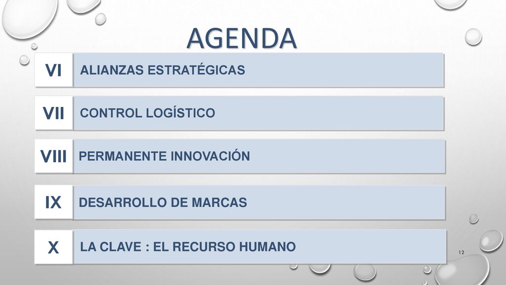 Agenda VI VII VIII IX X ALIANZAS ESTRATÉGICAS CONTROL LOGÍSTICO