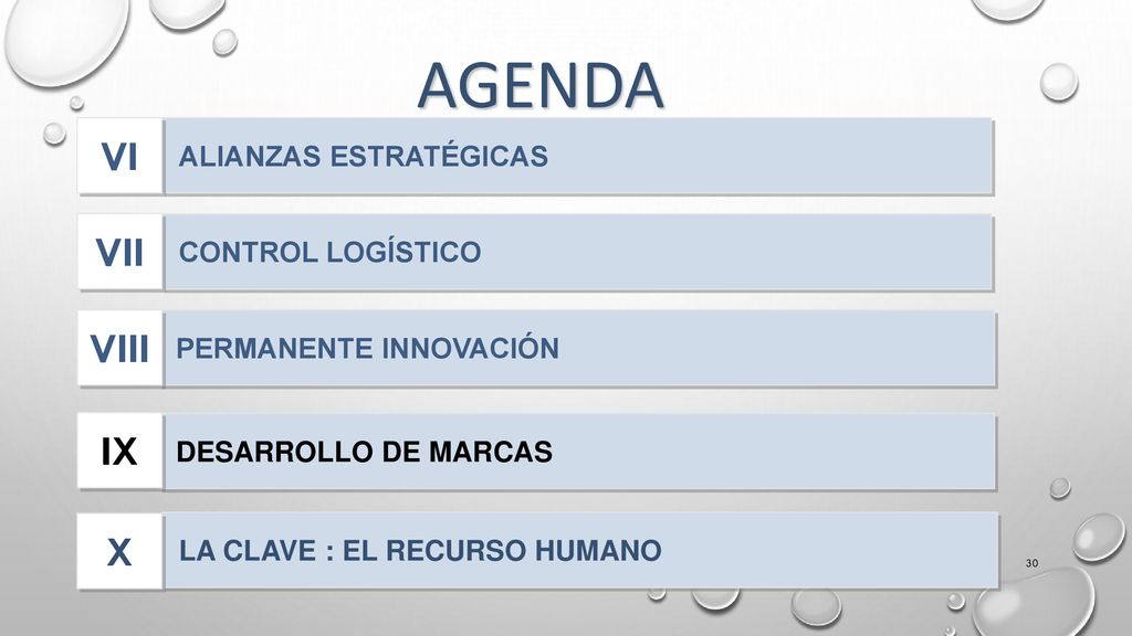 Agenda VI VII VIII IX X ALIANZAS ESTRATÉGICAS CONTROL LOGÍSTICO