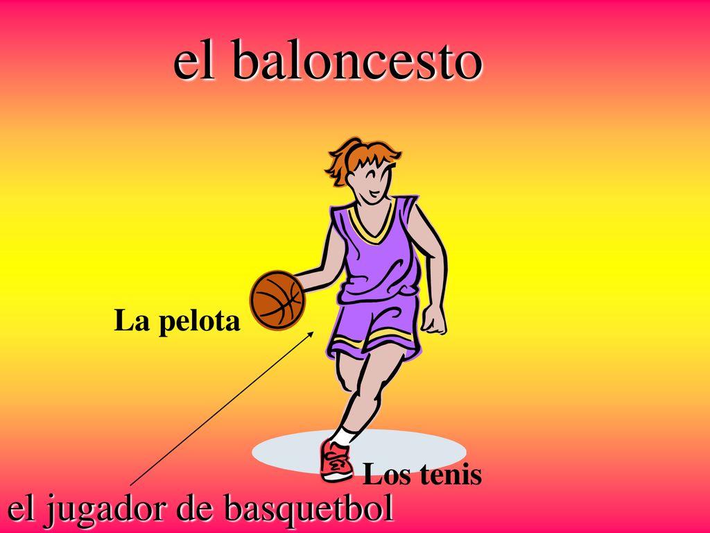 el baloncesto La pelota Los tenis el jugador de basquetbol