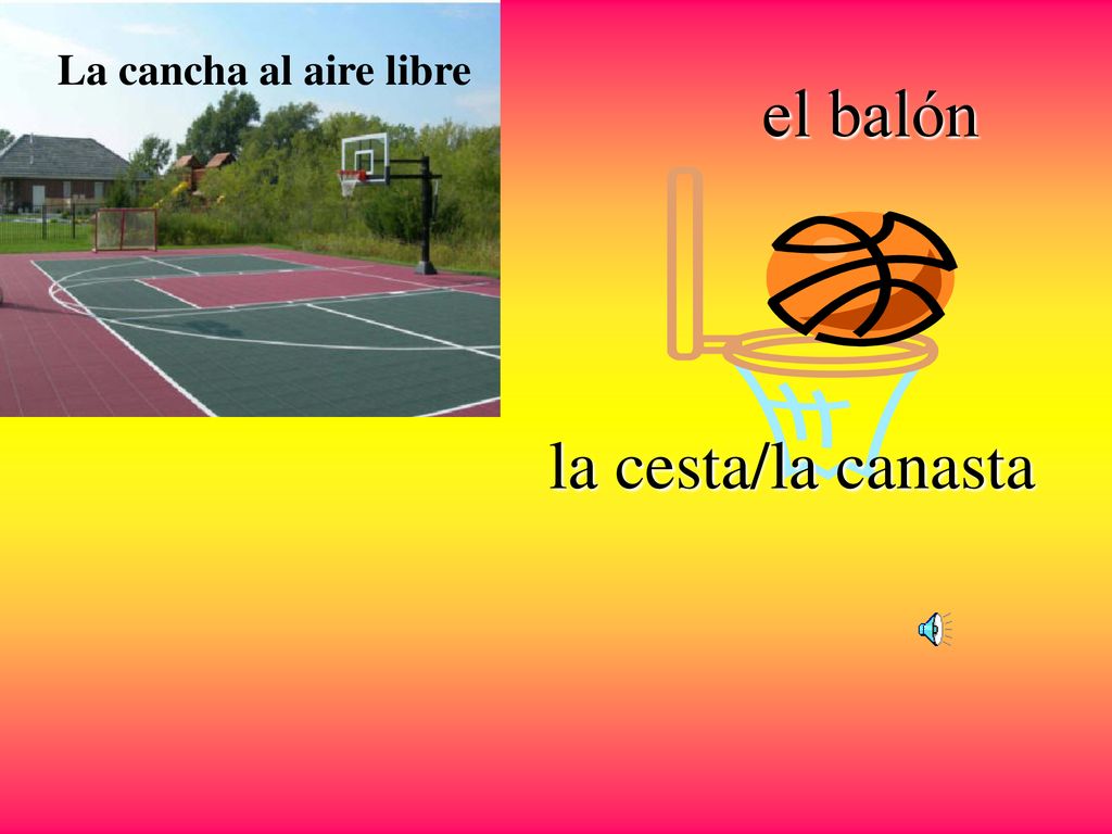 La cancha al aire libre el balón la cesta/la canasta