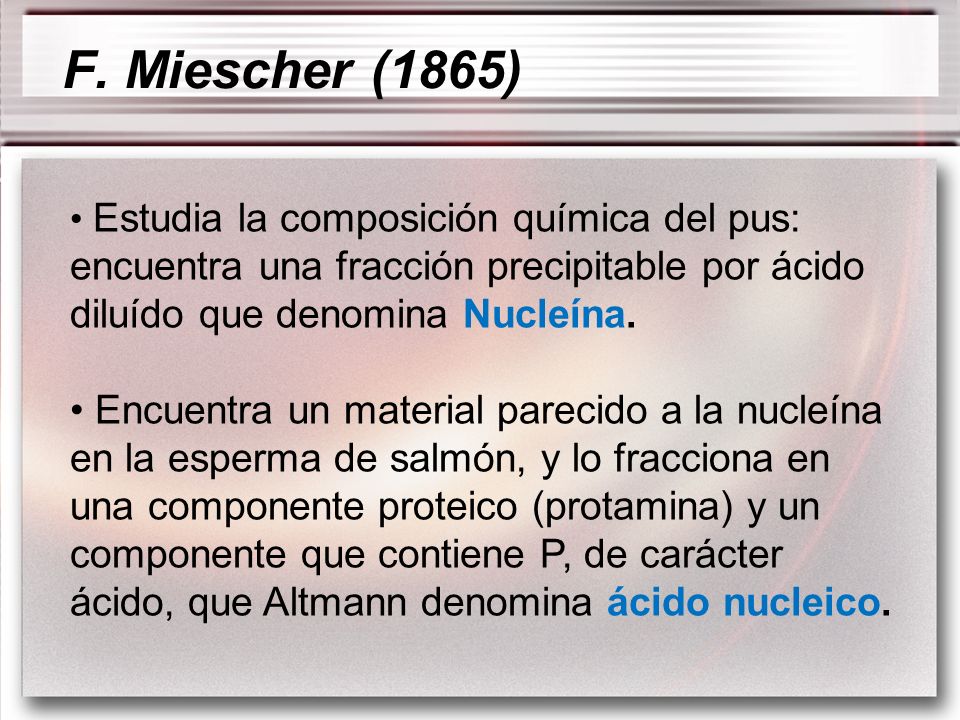 F. Miescher (1865) Estudia la composición química del pus: encuentra una fracción precipitable por ácido diluído que denomina Nucleína.