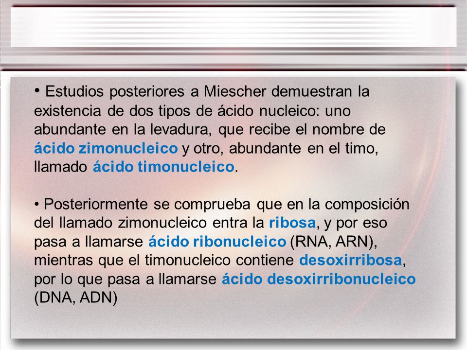Estudios posteriores a Miescher demuestran la existencia de dos tipos de ácido nucleico: uno abundante en la levadura, que recibe el nombre de ácido zimonucleico y otro, abundante en el timo, llamado ácido timonucleico.