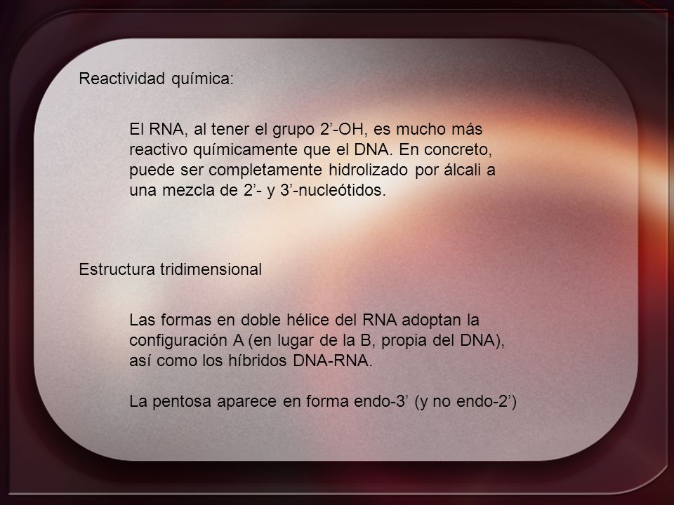 Reactividad química: El RNA, al tener el grupo 2’-OH, es mucho más. reactivo químicamente que el DNA. En concreto,