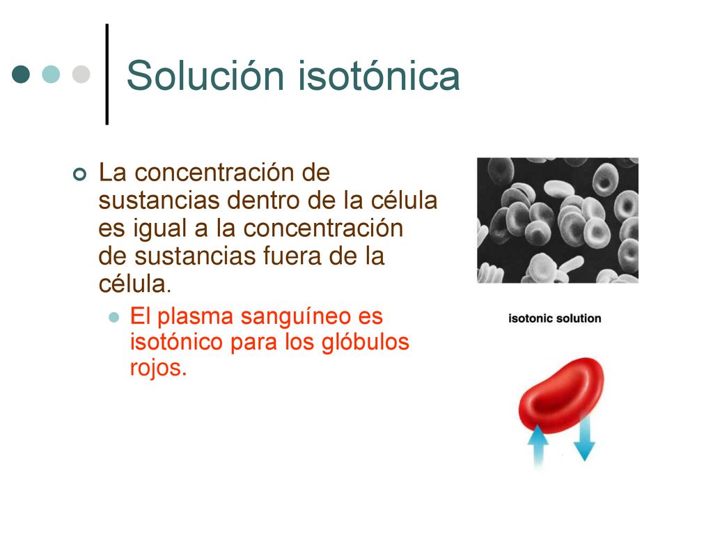 Solución isotónica La concentración de sustancias dentro de la célula es igual a la concentración de sustancias fuera de la célula.