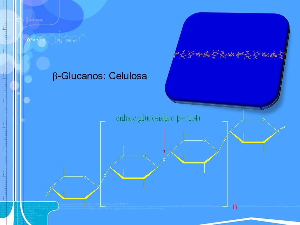 b-Glucanos: Celulosa