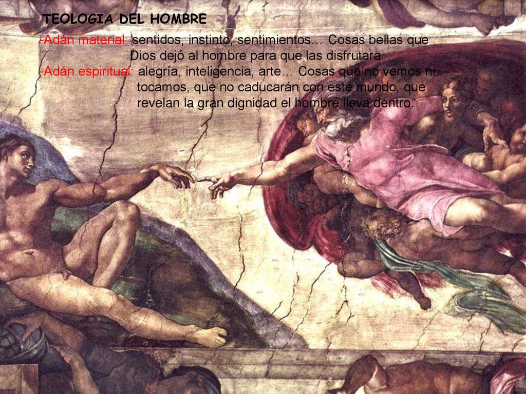 TEOLOGIA DEL HOMBRE -Adán material: sentidos, instinto, sentimientos… Cosas bellas que Dios dejó al hombre para que las disfrutara.