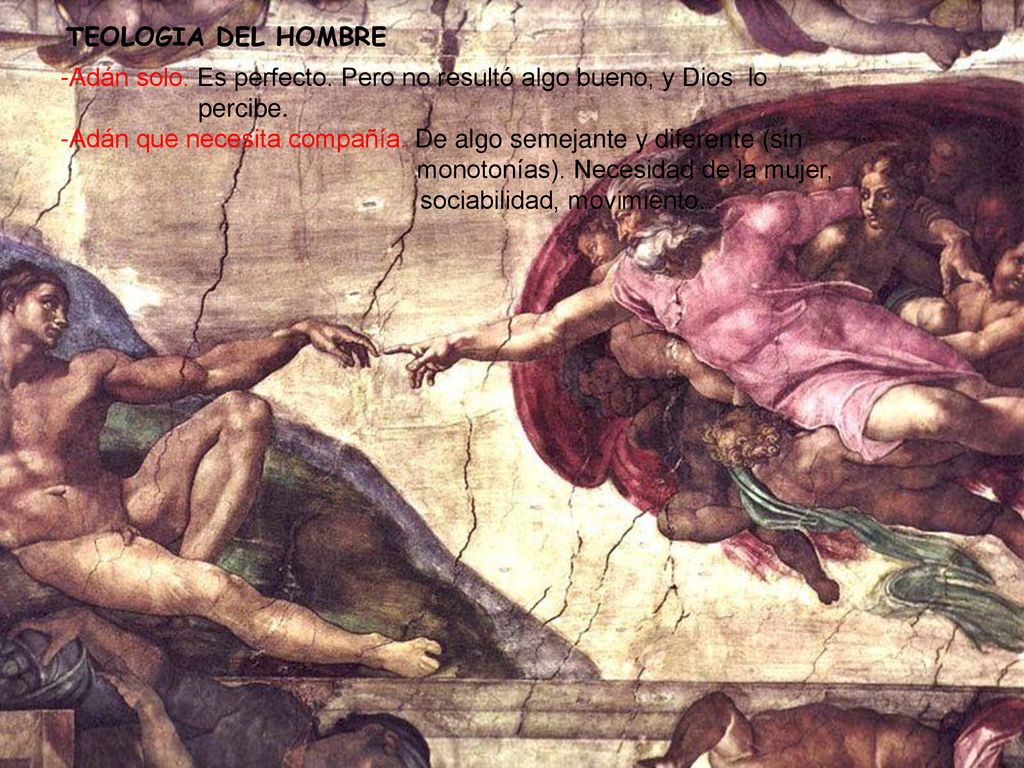 TEOLOGIA DEL HOMBRE -Adán solo. Es perfecto. Pero no resultó algo bueno, y Dios lo percibe.