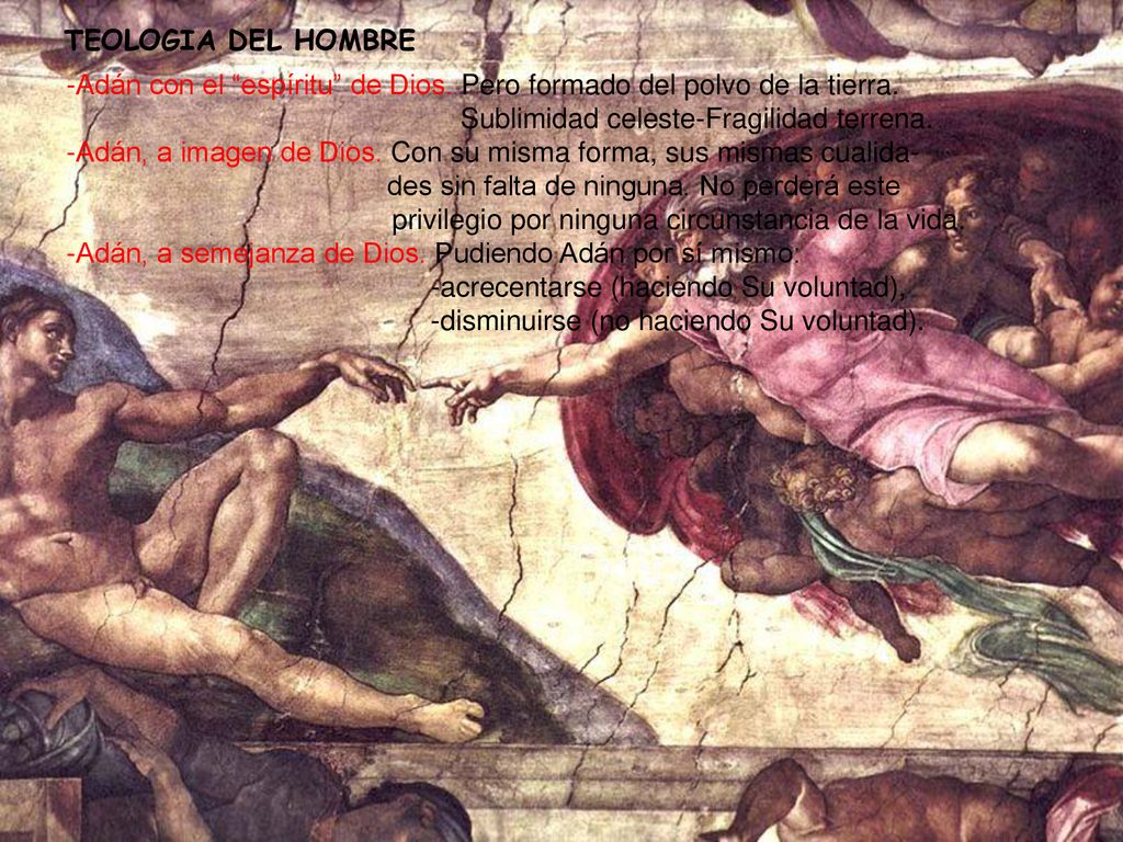 TEOLOGIA DEL HOMBRE -Adán con el espíritu de Dios. Pero formado del polvo de la tierra. Sublimidad celeste-Fragilidad terrena.