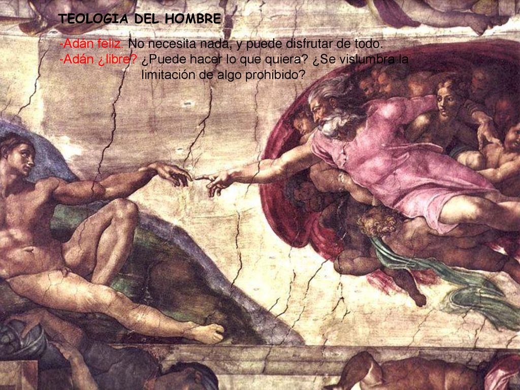 TEOLOGIA DEL HOMBRE -Adán feliz. No necesita nada, y puede disfrutar de todo.