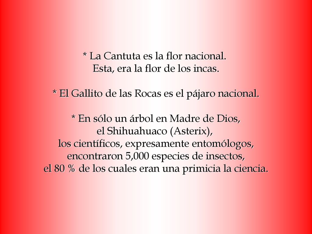 La Cantuta es la flor nacional. Esta, era la flor de los incas