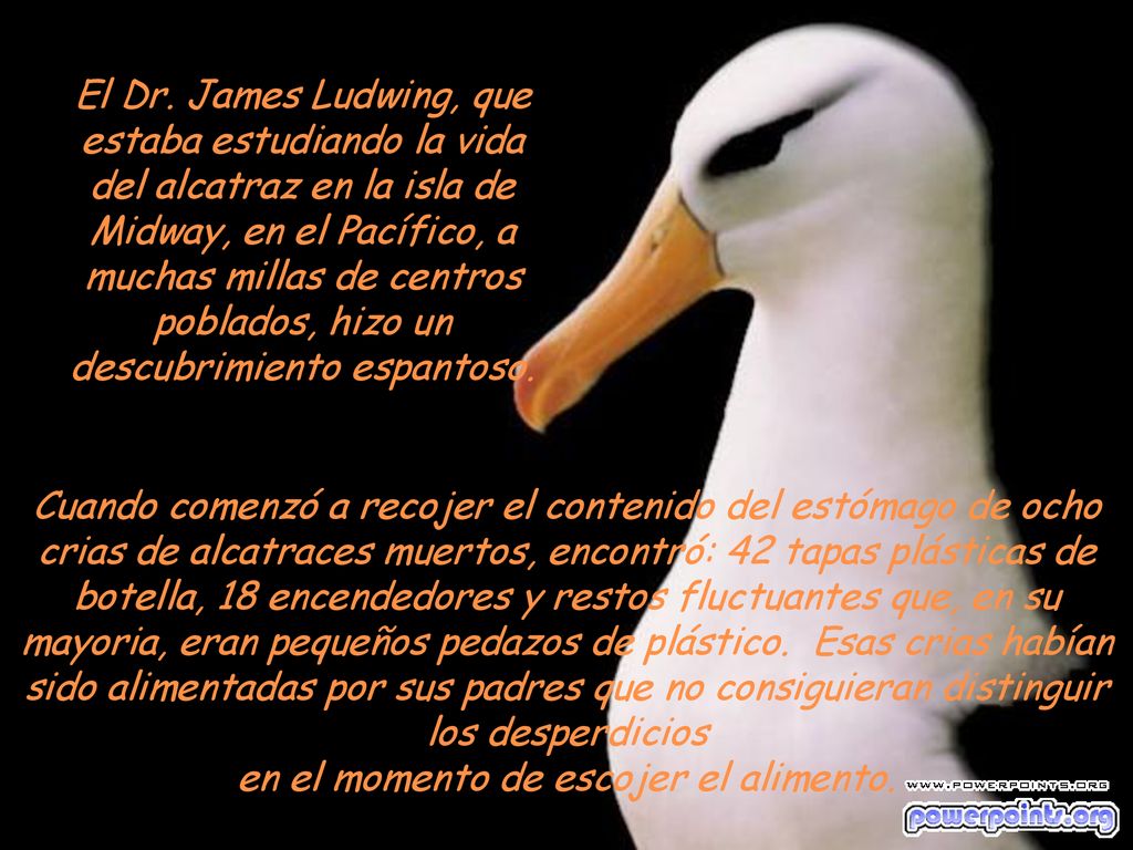 El Dr. James Ludwing, que estaba estudiando la vida del alcatraz en la isla de Midway, en el Pacífico, a muchas millas de centros poblados, hizo un descubrimiento espantoso.