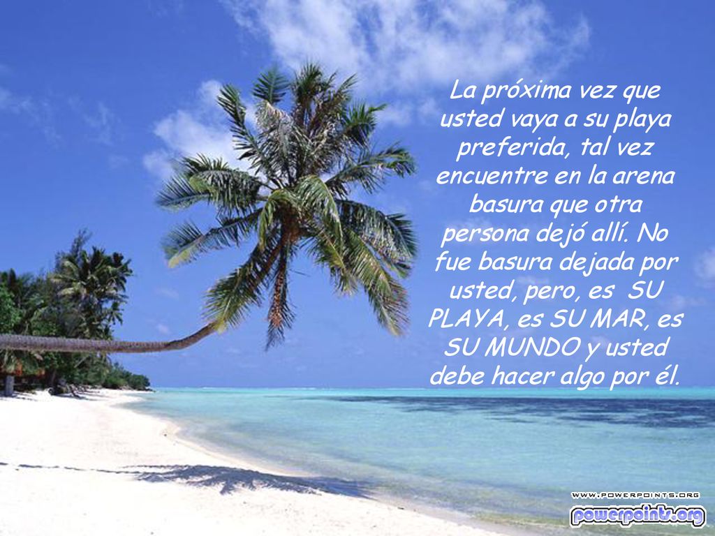 La próxima vez que usted vaya a su playa preferida, tal vez encuentre en la arena basura que otra persona dejó allí.