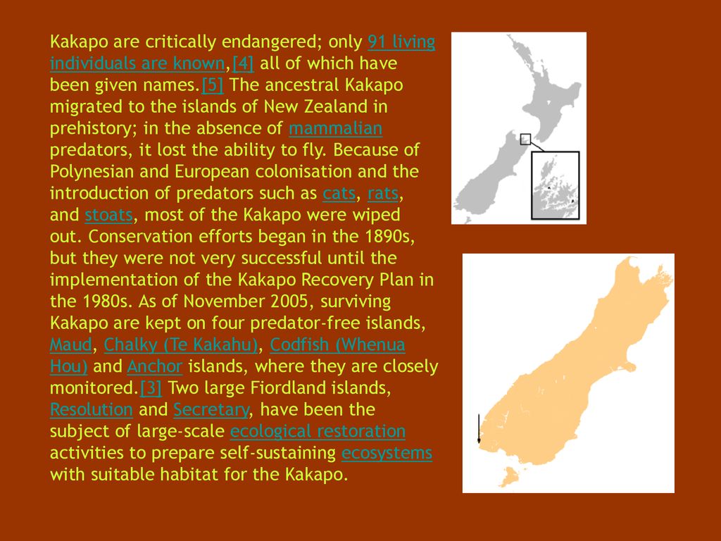 Kakapo are critically endangered; only 91 living individuals are known,[4] all of which have been given names.[5] The ancestral Kakapo migrated to the islands of New Zealand in prehistory; in the absence of mammalian predators, it lost the ability to fly.