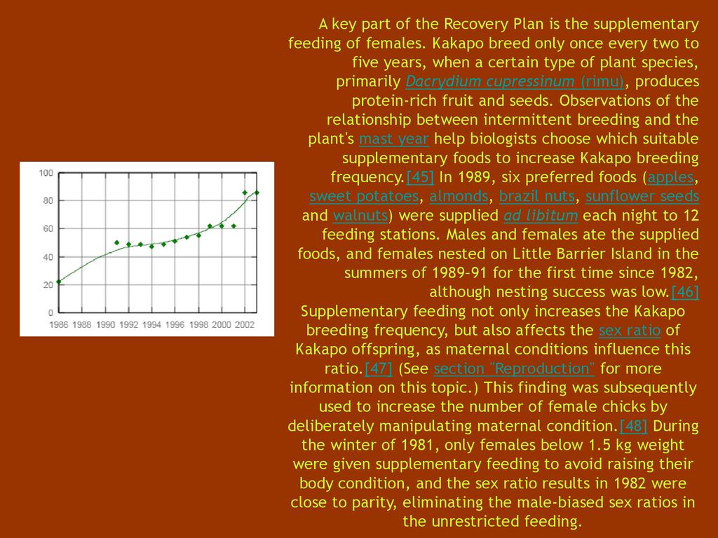 A key part of the Recovery Plan is the supplementary feeding of females. Kakapo breed only once every two to five years, when a certain type of plant species, primarily Dacrydium cupressinum (rimu), produces protein-rich fruit and seeds. Observations of the relationship between intermittent breeding and the plant s mast year help biologists choose which suitable supplementary foods to increase Kakapo breeding frequency.[45] In 1989, six preferred foods (apples, sweet potatoes, almonds, brazil nuts, sunflower seeds and walnuts) were supplied ad libitum each night to 12 feeding stations. Males and females ate the supplied foods, and females nested on Little Barrier Island in the summers of 1989–91 for the first time since 1982, although nesting success was low.[46]