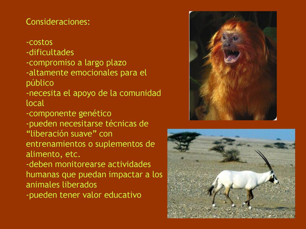 Consideraciones: -costos. -dificultades. -compromiso a largo plazo. -altamente emocionales para el público.