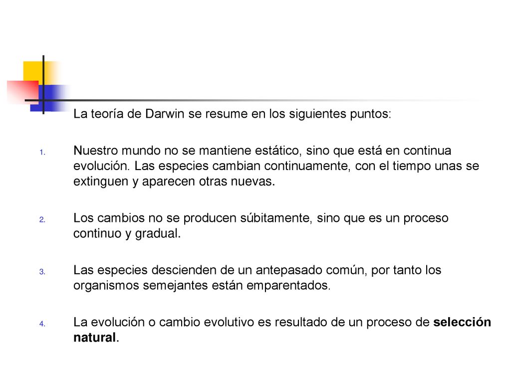 La teoría de Darwin se resume en los siguientes puntos: