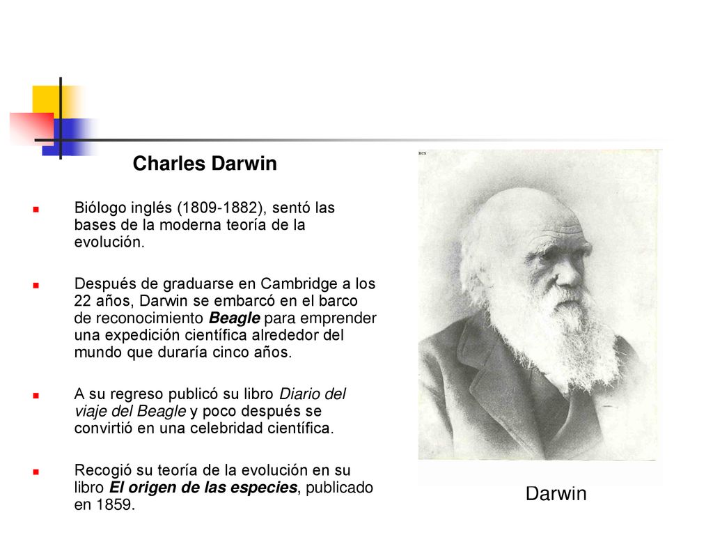 Darwin Charles Darwin. Biólogo inglés ( ), sentó las bases de la moderna teoría de la evolución.