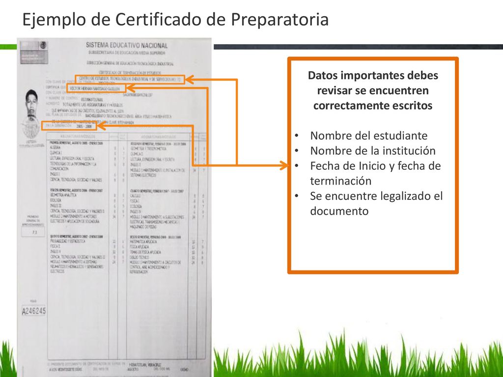 Datos importantes debes revisar se encuentren correctamente escritos