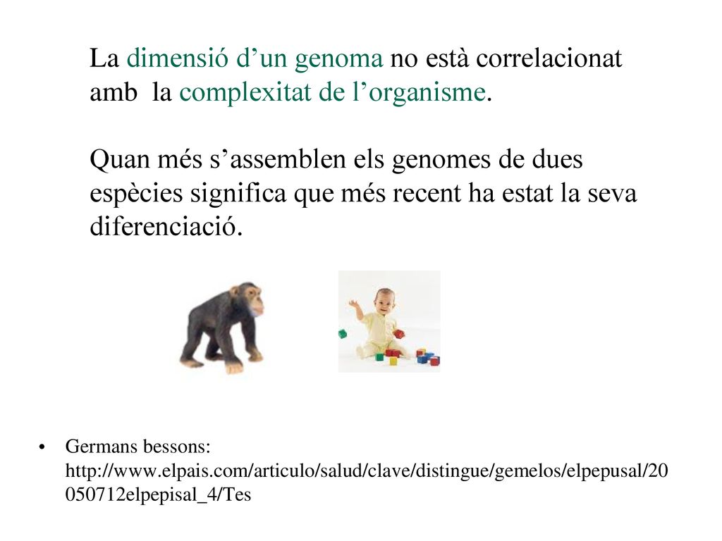 La dimensió d’un genoma no està correlacionat amb la complexitat de l’organisme. Quan més s’assemblen els genomes de dues espècies significa que més recent ha estat la seva diferenciació.