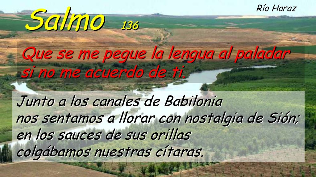 Salmo 136 Que se me pegue la lengua al paladar si no me acuerdo de ti.