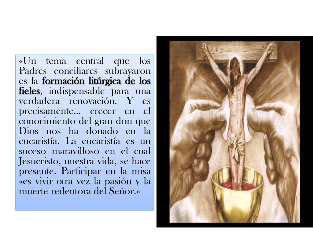 «Un tema central que los Padres conciliares subrayaron es la formación litúrgica de los fieles, indispensable para una verdadera renovación.