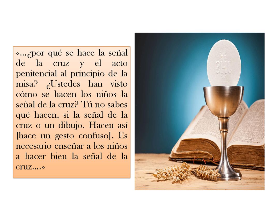 «…¿por qué se hace la señal de la cruz y el acto penitencial al principio de la misa.