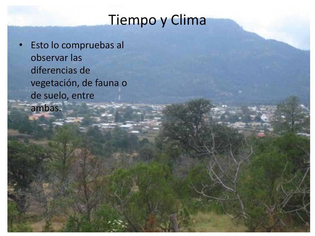 Tiempo y Clima Esto lo compruebas al observar las diferencias de vegetación, de fauna o de suelo, entre ambas.