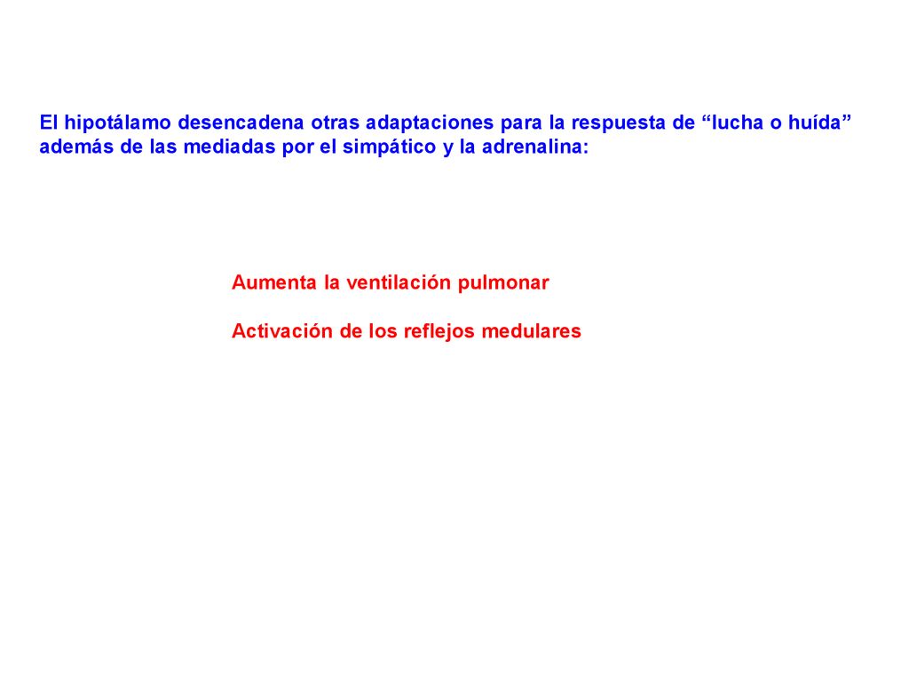 El hipotálamo desencadena otras adaptaciones para la respuesta de lucha o huída además de las mediadas por el simpático y la adrenalina: