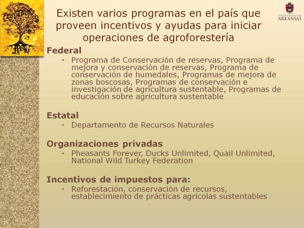 Existen varios programas en el país que proveen incentivos y ayudas para iniciar operaciones de agroforestería