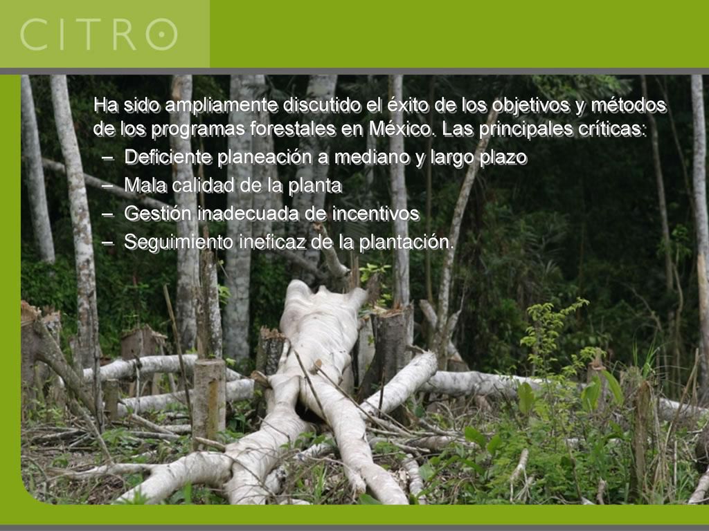 Ha sido ampliamente discutido el éxito de los objetivos y métodos de los programas forestales en México. Las principales críticas: