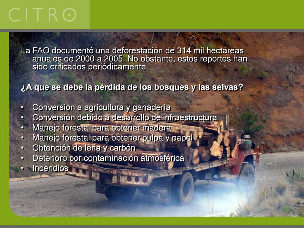 La FAO documentó una deforestación de 314 mil hectáreas anuales de 2000 a No obstante, estos reportes han sido criticados periódicamente.