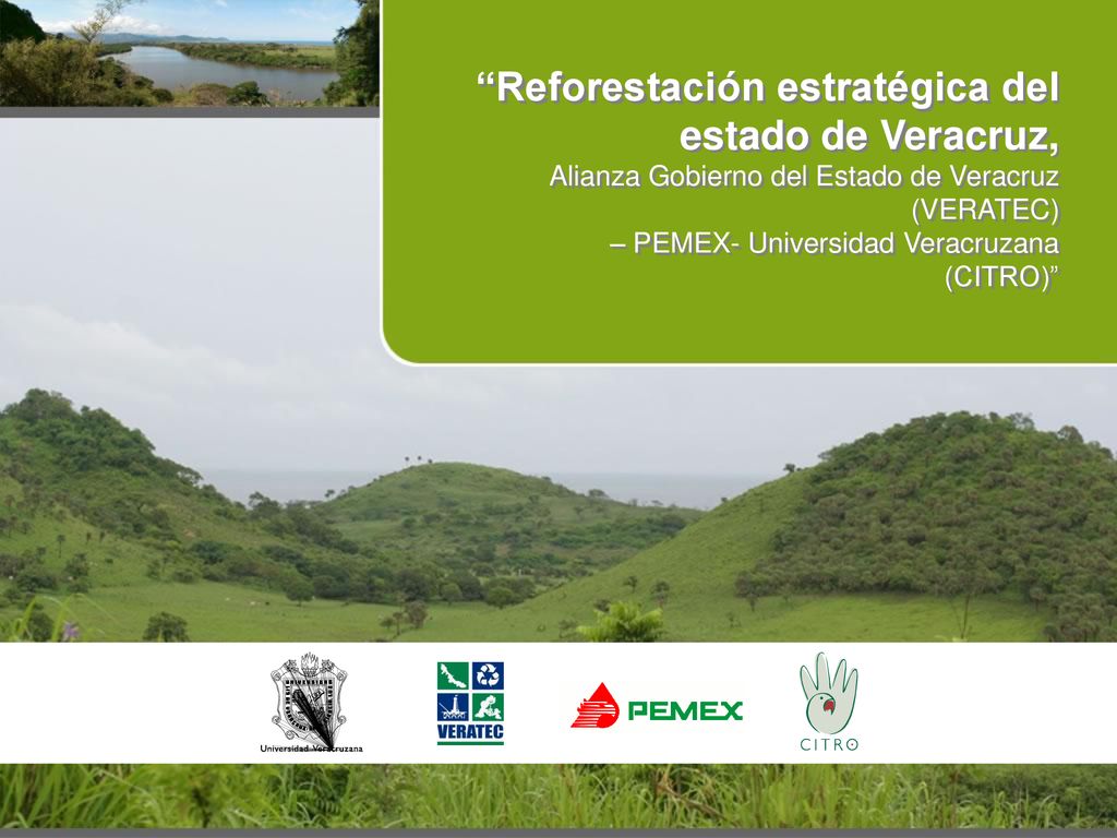 Reforestación estratégica del estado de Veracruz, Alianza Gobierno del Estado de Veracruz (VERATEC) – PEMEX- Universidad Veracruzana (CITRO)