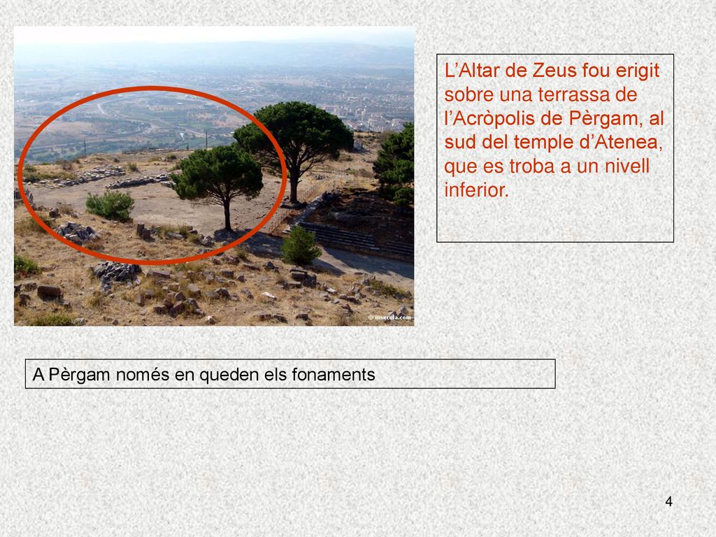 L’Altar de Zeus fou erigit sobre una terrassa de l’Acròpolis de Pèrgam, al sud del temple d’Atenea, que es troba a un nivell inferior.