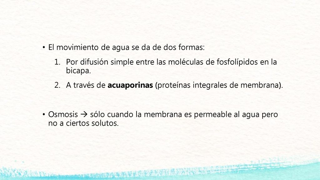 El movimiento de agua se da de dos formas: